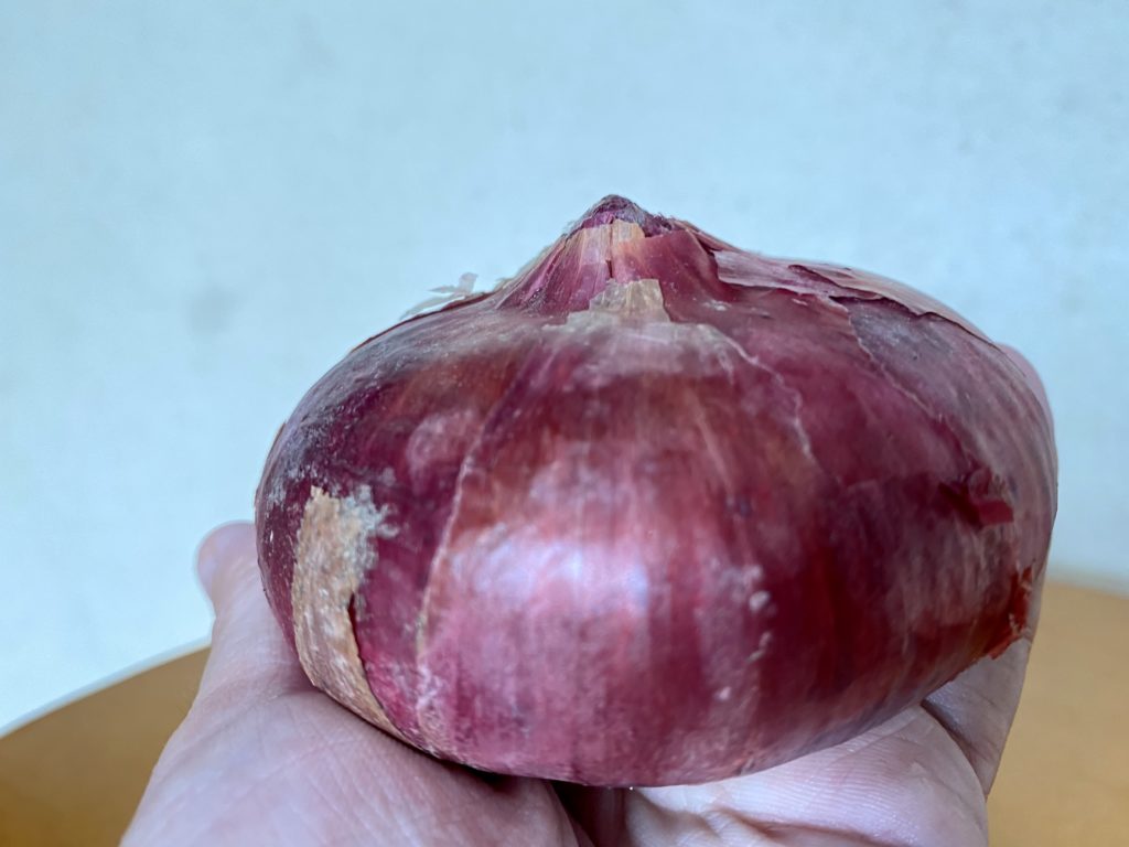 ココノミ赤玉ねぎ
