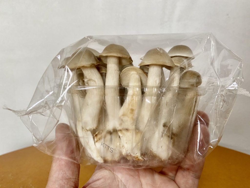 坂ノ途中ハタケシメジ