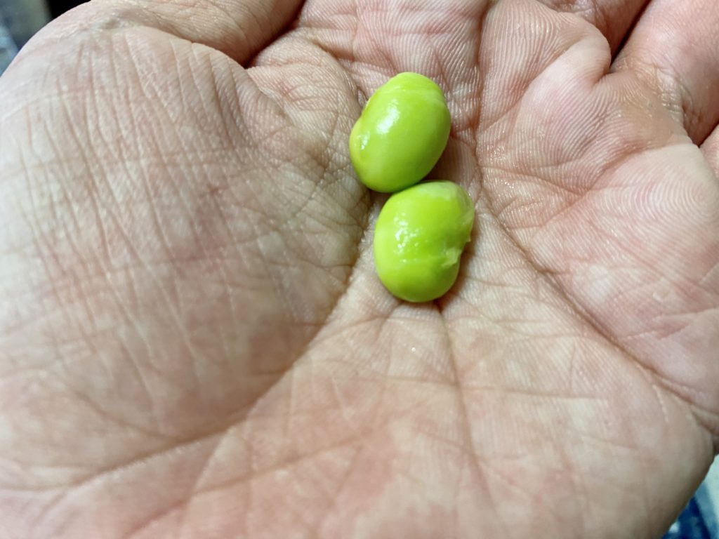 枝豆粒の大きさ