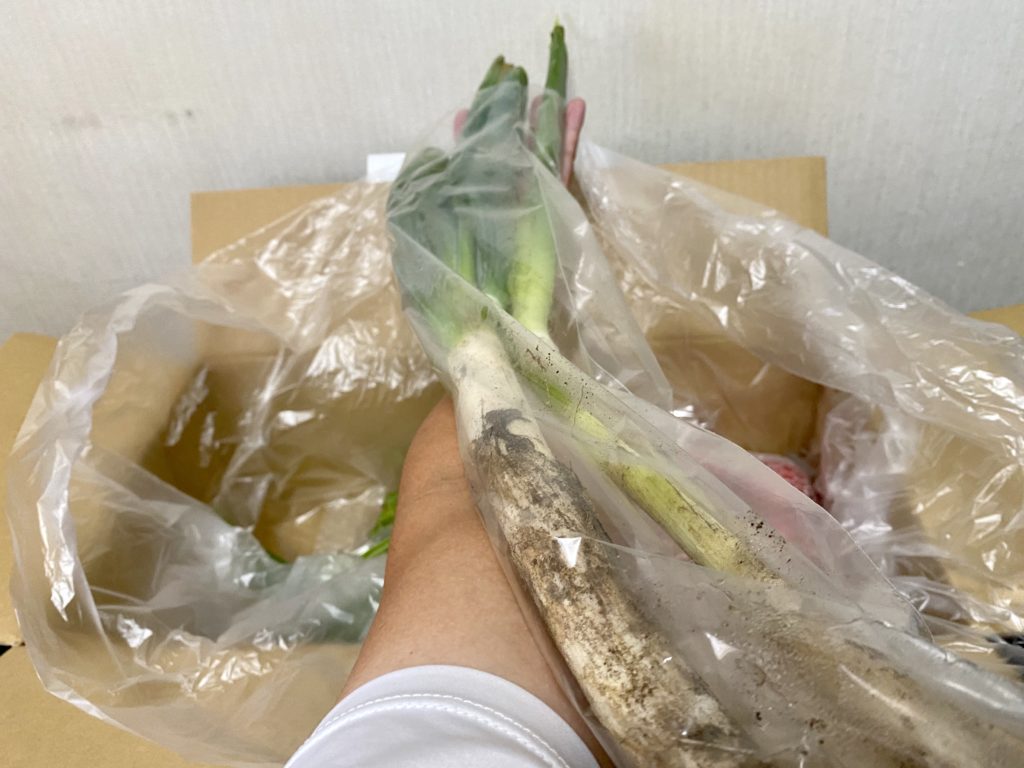 ビオマルシェ白ねぎ