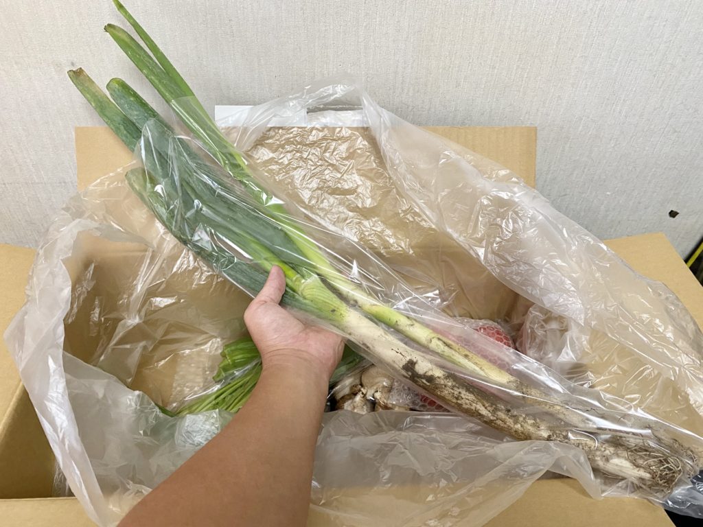 ビオマルシェ白ねぎ