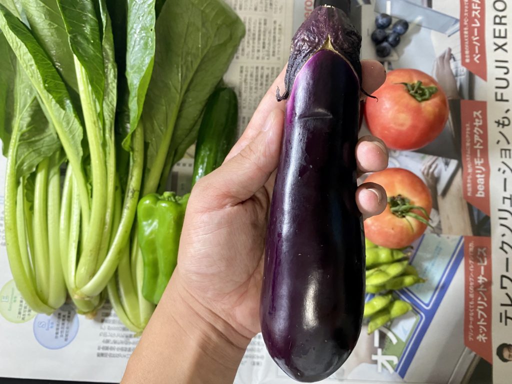 JAタウンなす