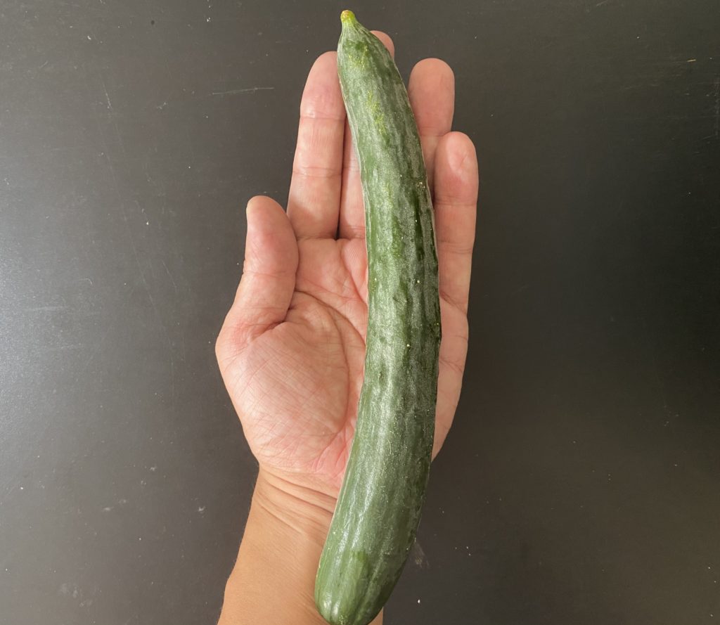 無農薬野菜のミレーきゅうり