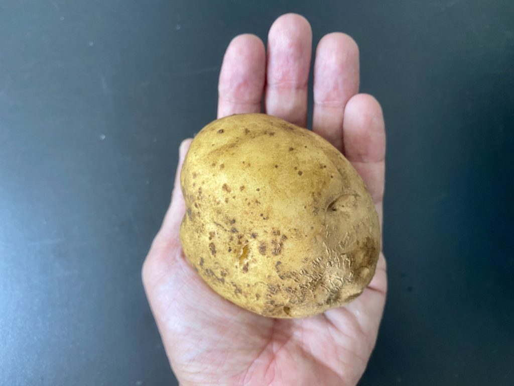 無農薬野菜のミレーじゃがいも