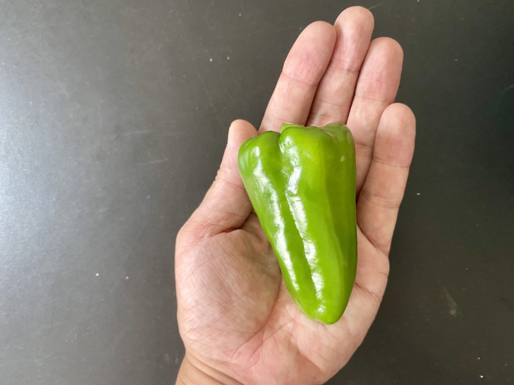 無農薬野菜のミレーピーマン