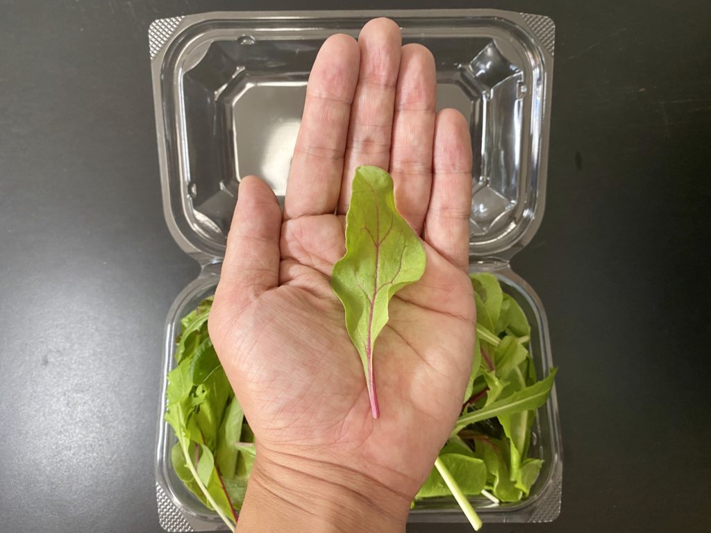 無農薬野菜のミレーベビーリーフ