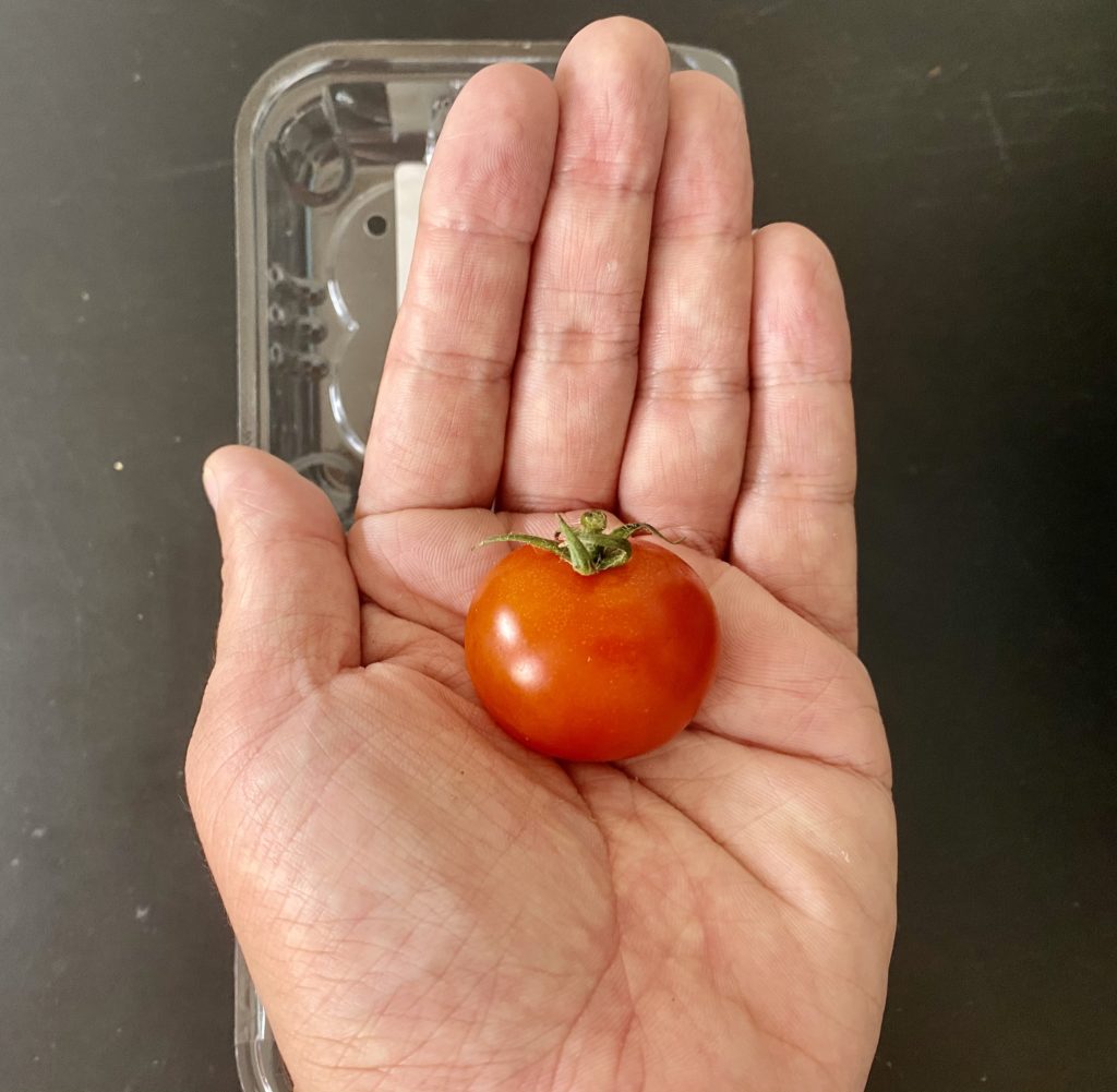 無農薬野菜のミレーミニトマト