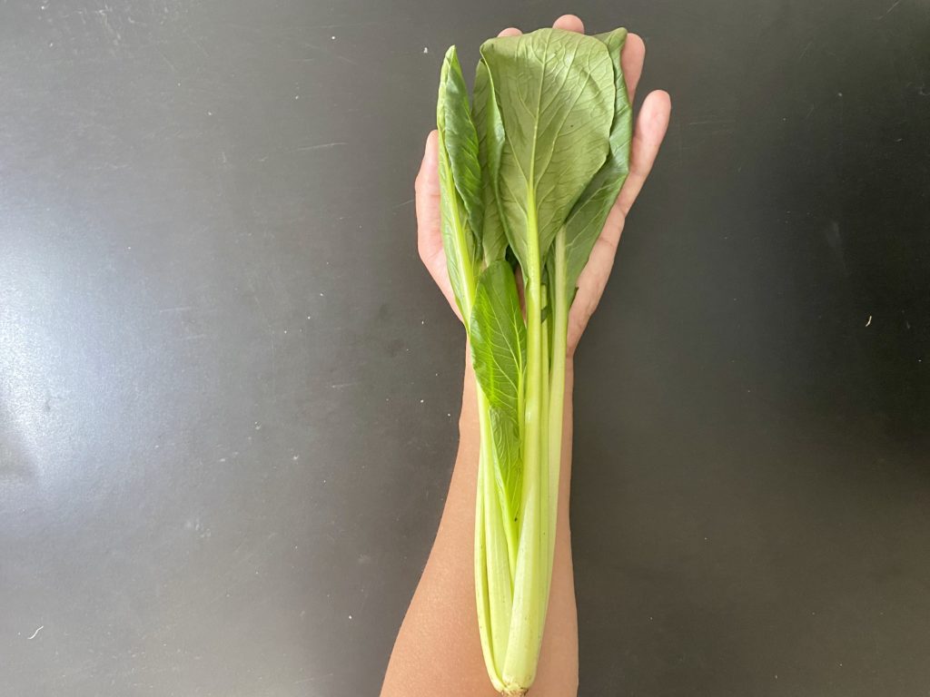 無農薬野菜のミレー小松菜