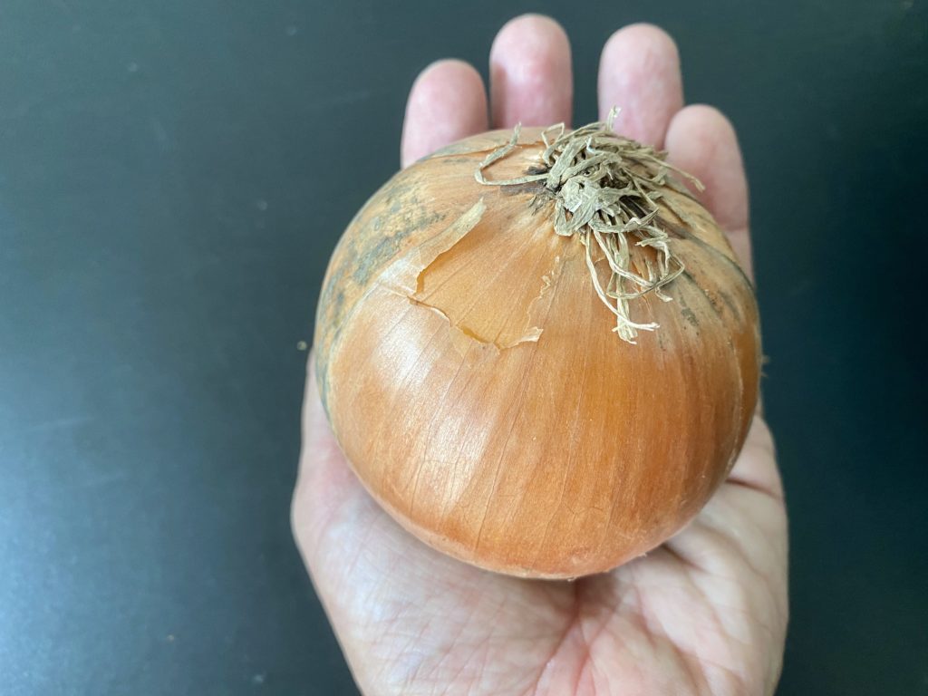 無農薬野菜のミレー玉ねぎ