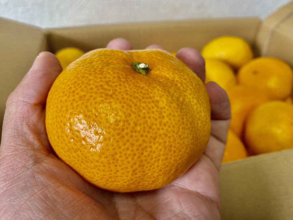 食べチョク