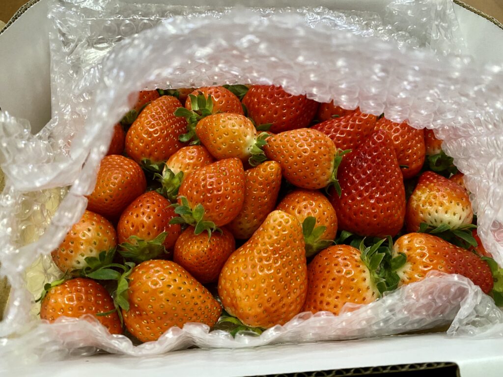 食べチョクいちご.
