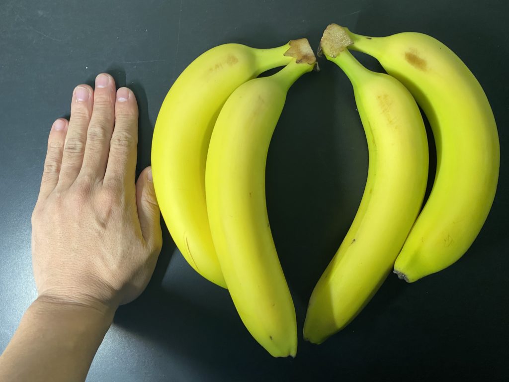 おーがにっくがーでん