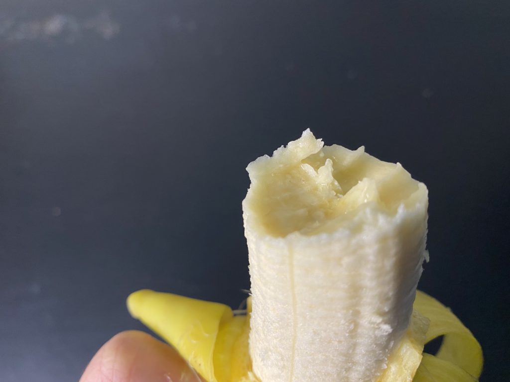 おーがにっくがーでん