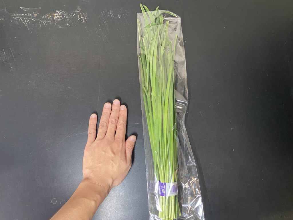 九州野菜王国