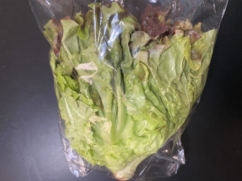 九州野菜王国