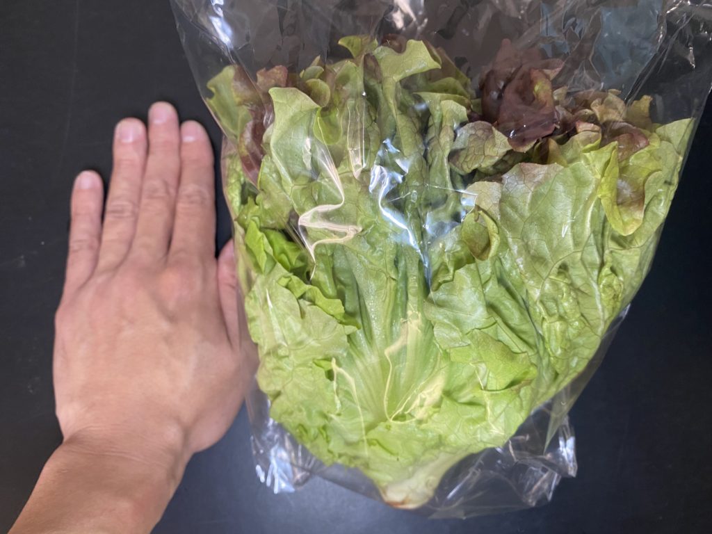 九州野菜王国