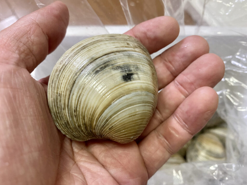 ポケットマルシェ