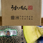 豊洲市場ドットコム評判