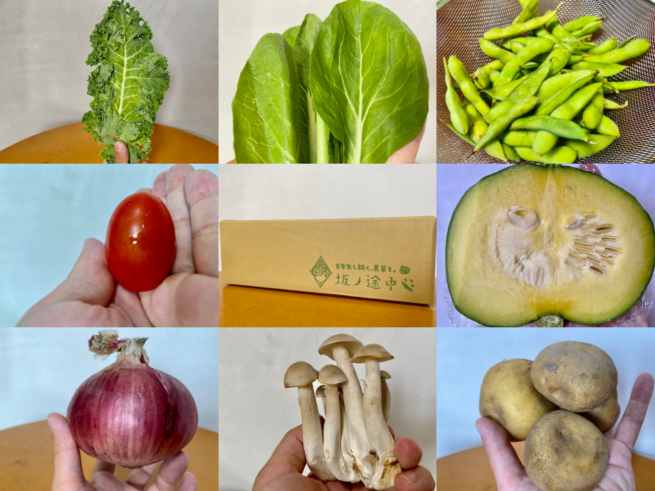 野菜宅配