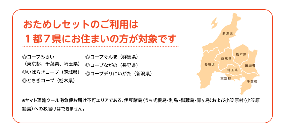 お試しセットのデメリット
