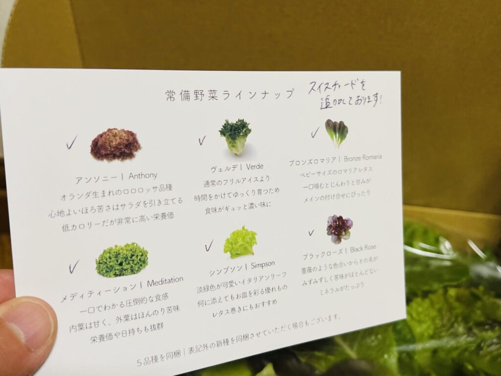 ジージーサプライから届いた常備野菜ラインナップ