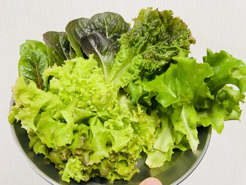 ジージーサプライ口コミ